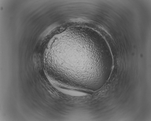 X0000058780968200510031016