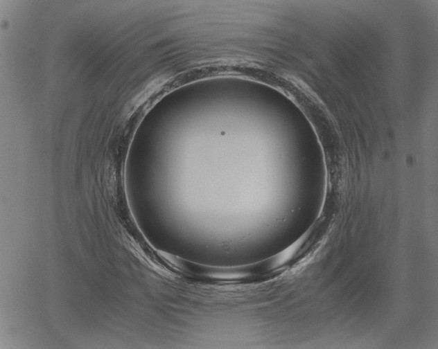 X0000058780969200510031016