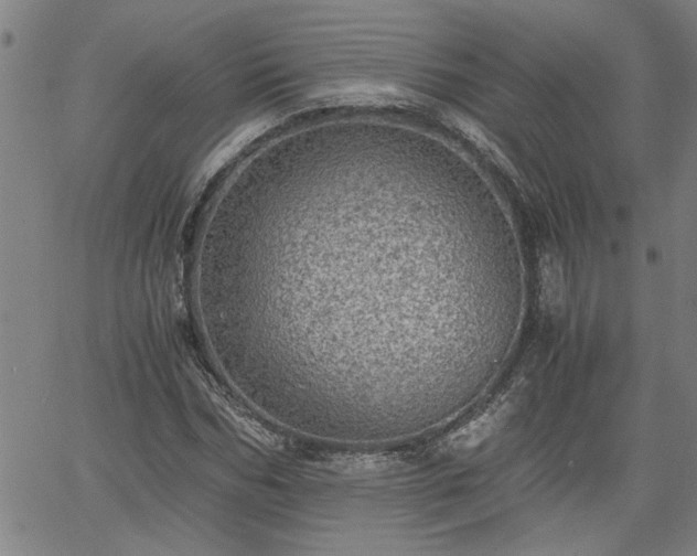 X0000058780970200510031016