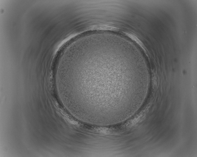 X0000058780971200510031016