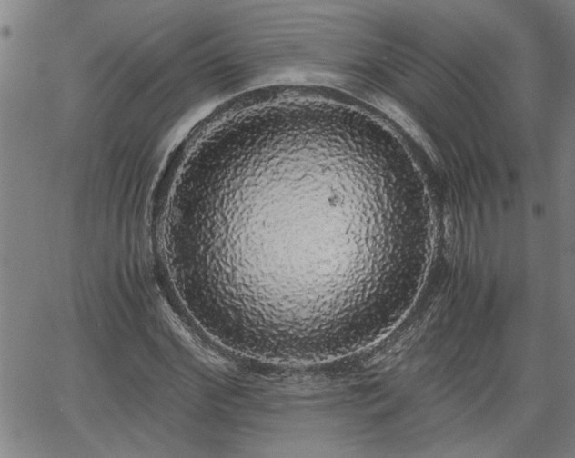 X0000058780972200510031016