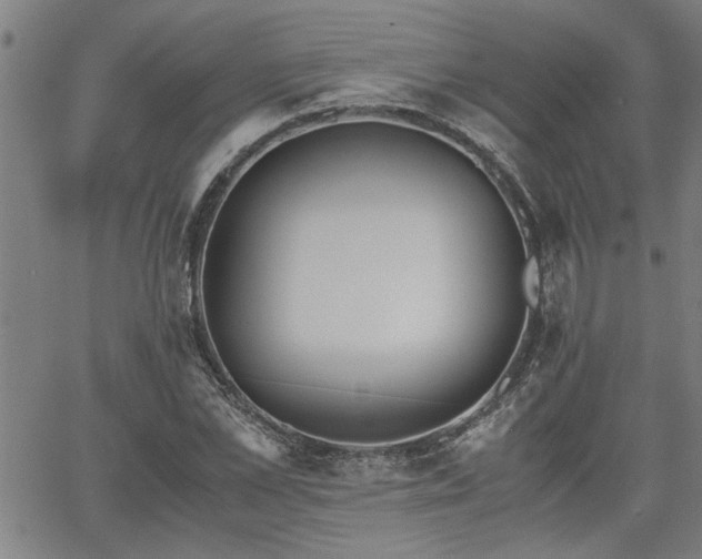 X0000058780973200510031016