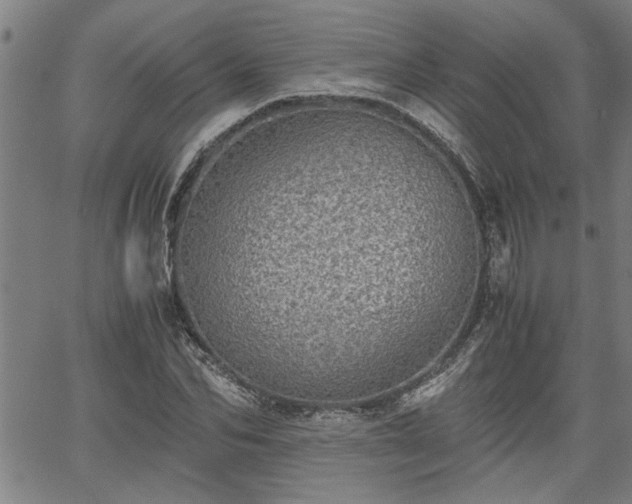 X0000058780974200510031016