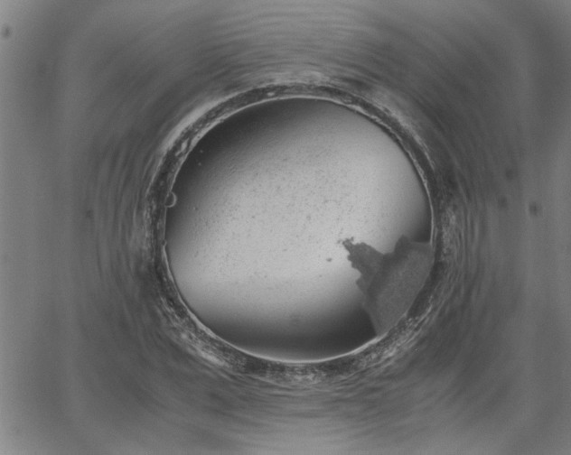 X0000058780975200510031016