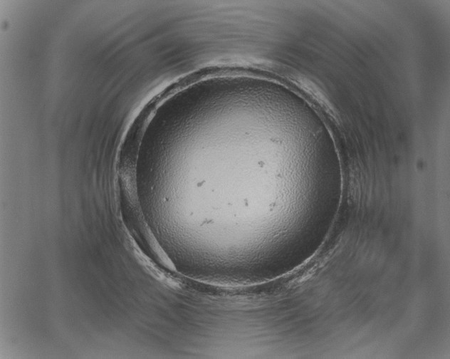 X0000058780976200510031016