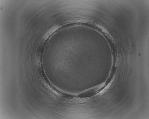 X0000058780977200510031016