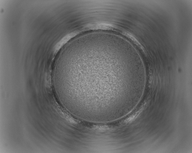 X0000058780978200510031016