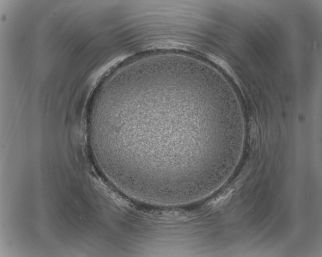 X0000058780979200510031016