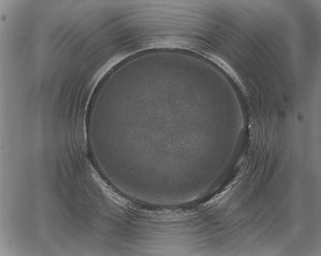 X0000058780980200510031016