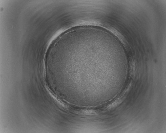 X0000058780982200510031015