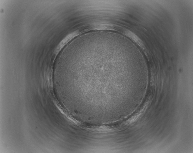 X0000058780986200510031015