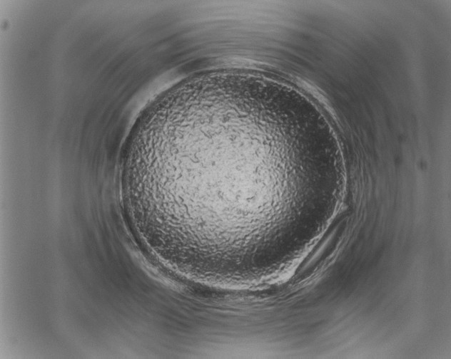 X0000058780987200510031015