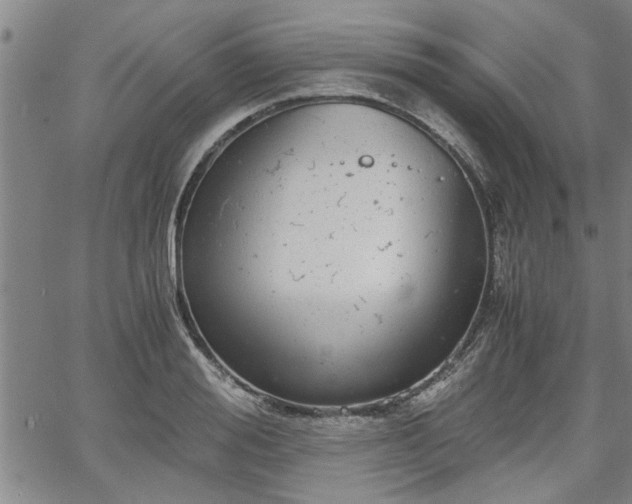 X0000058780988200510031015