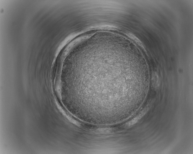 X0000058780989200510031015