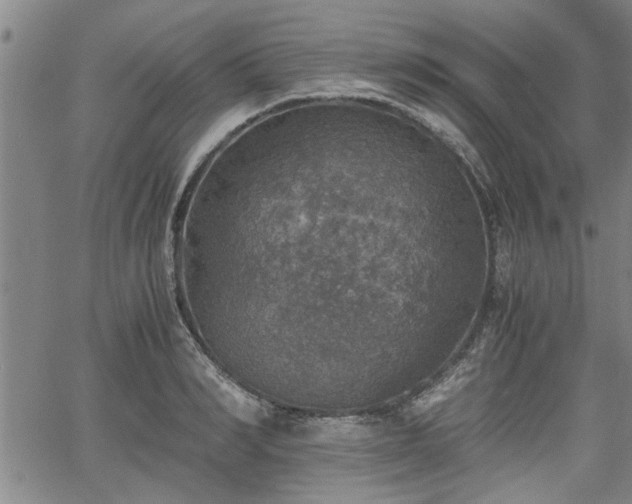 X0000058780990200510031015