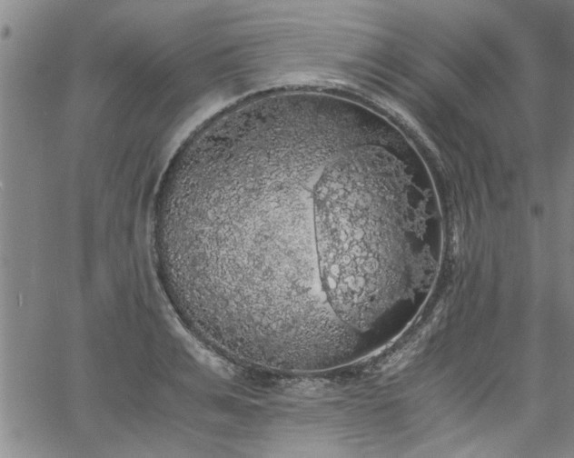 X0000058780991200510031015