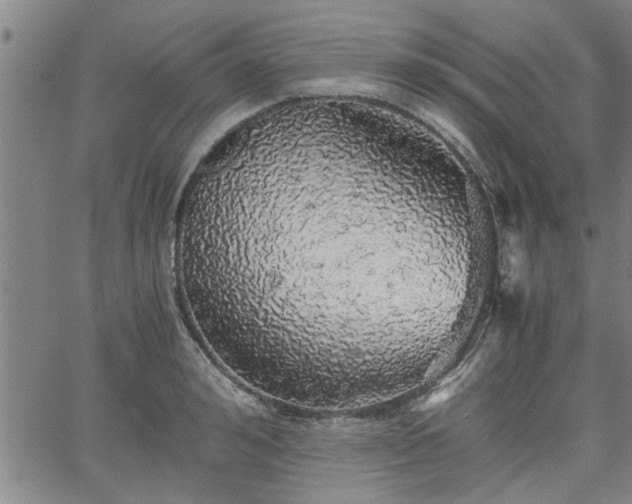 X0000058780992200510031015