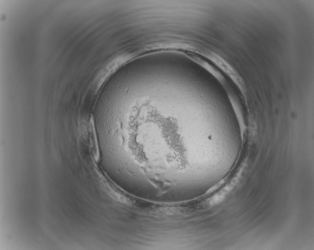 X0000058780993200510031015