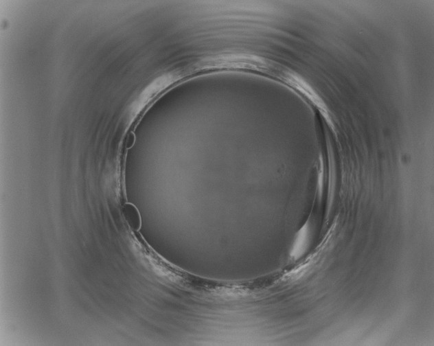 X0000058780994200510031015