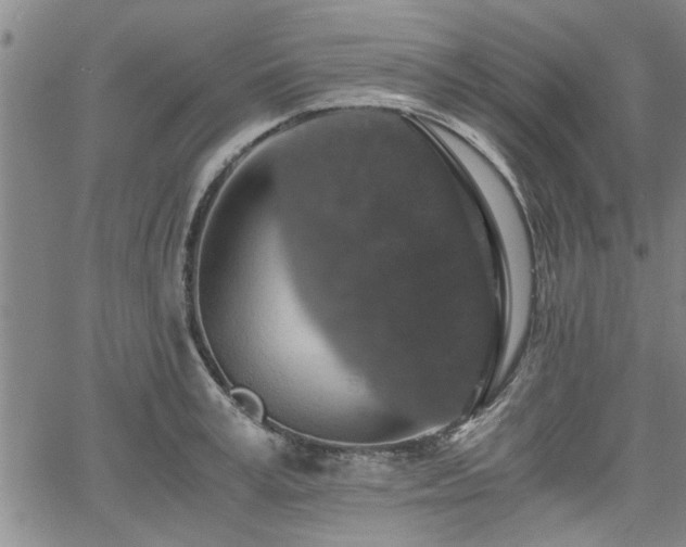 X0000058780995200510031015