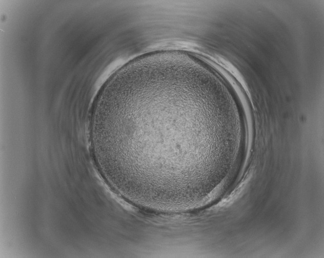 X0000058780997200510031015