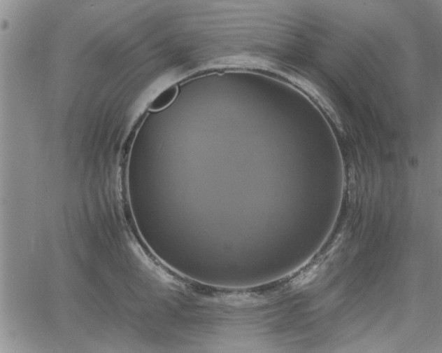 X0000058780998200510031015