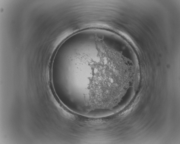 X0000058780999200510031015