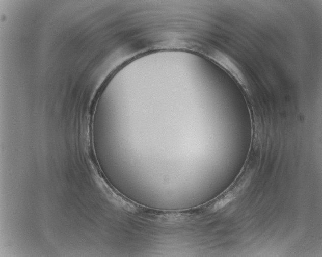 X0000058781000200510031015