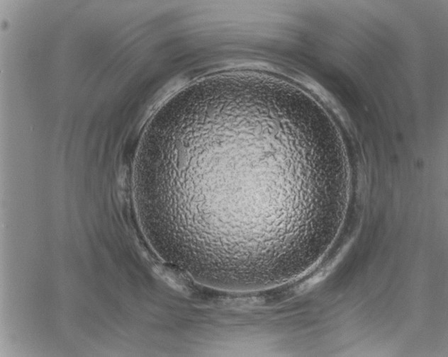 X0000058781001200510031015