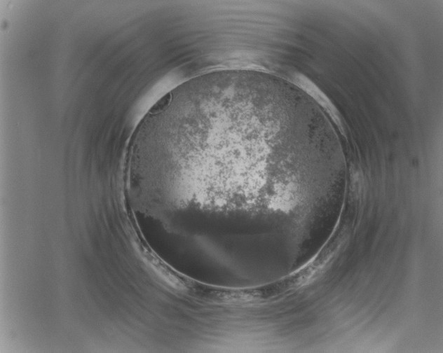 X0000058781002200510031015