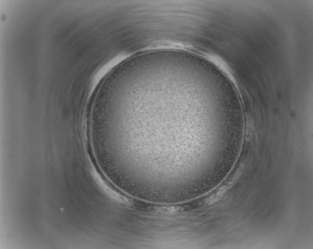 X0000058781003200510031015