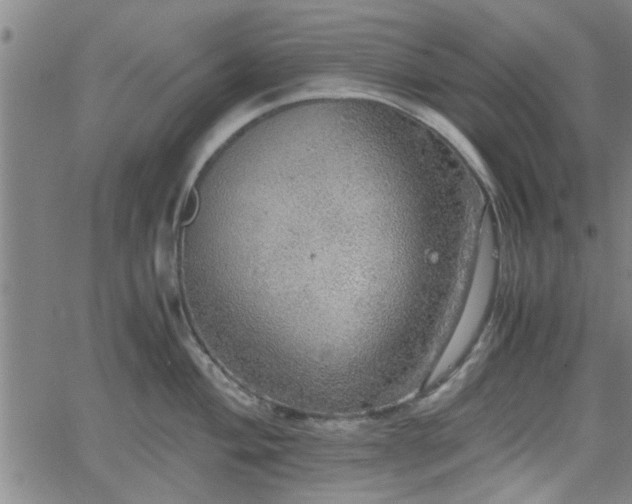 X0000058781004200510031015