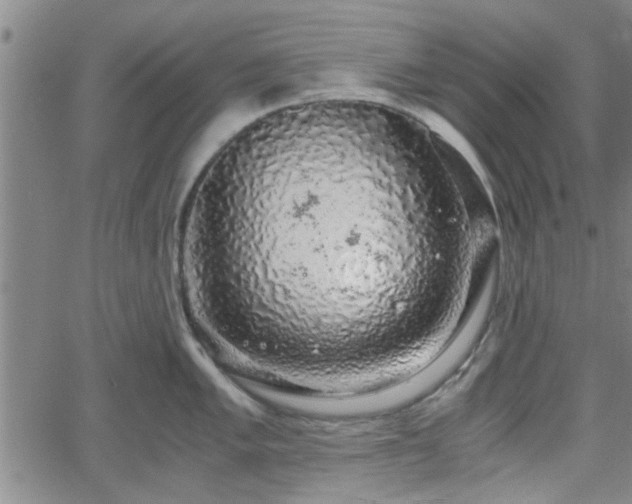 X0000058781005200510031015