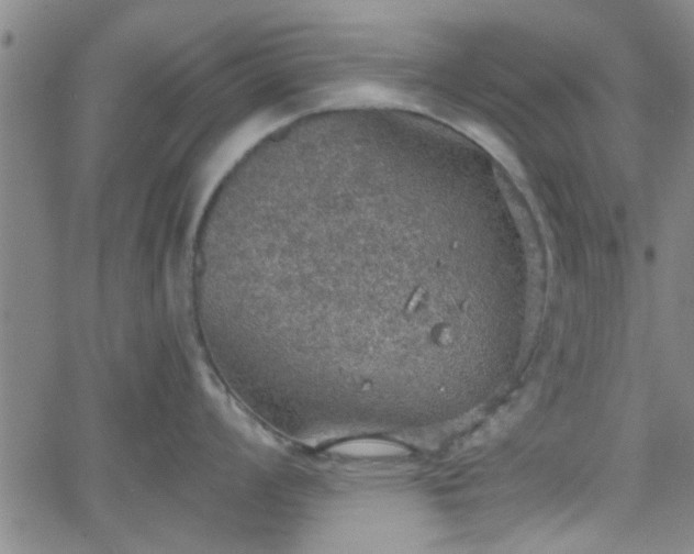 X0000058781008200510031015