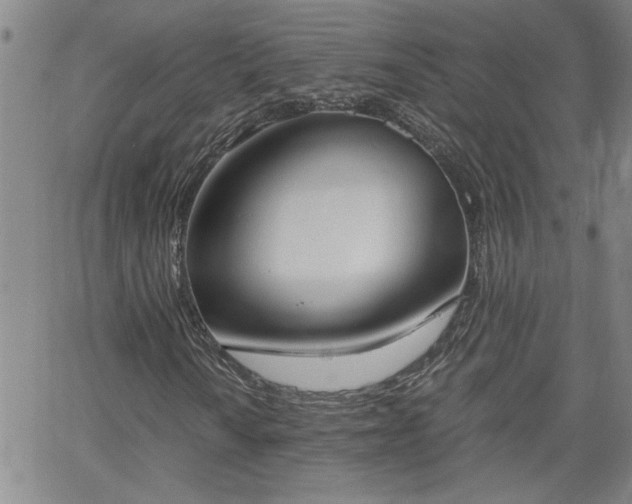 X0000058781010200510031014