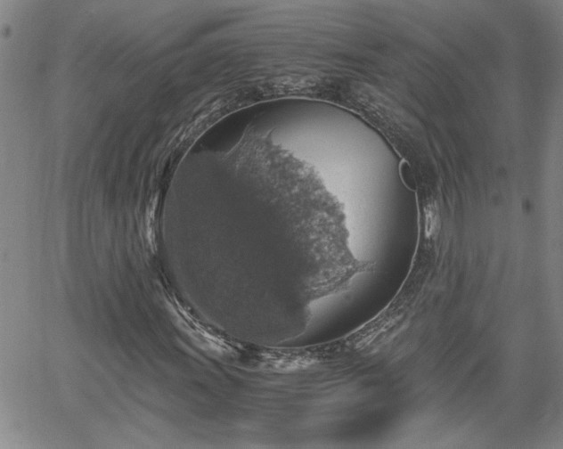 X0000058781011200510031014