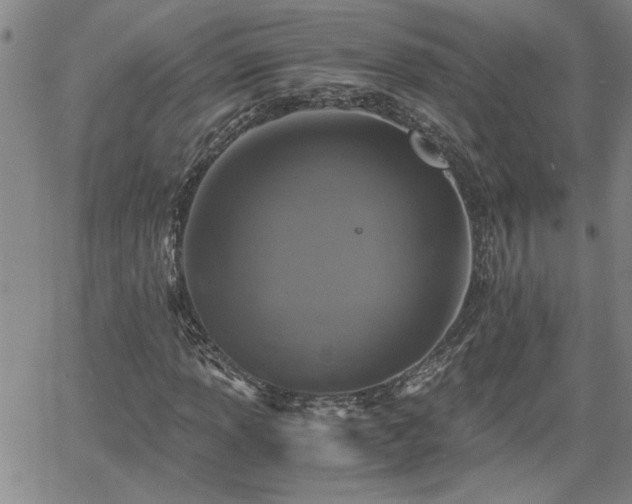 X0000058781013200510031014