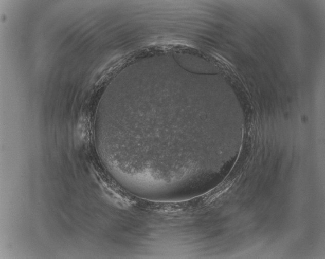 X0000058781014200510031014