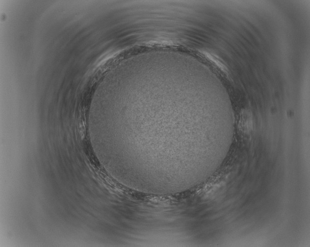 X0000058781015200510031014