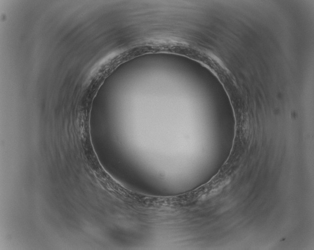 X0000058781016200510031014