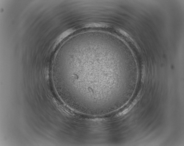 X0000058781017200510031014