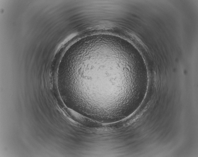 X0000058781018200510031014