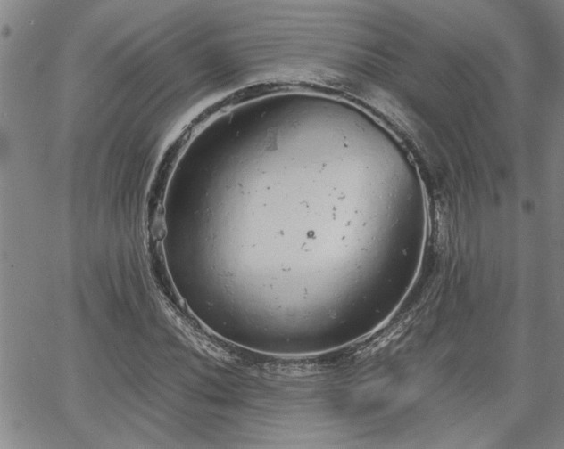 X0000058781020200510031014