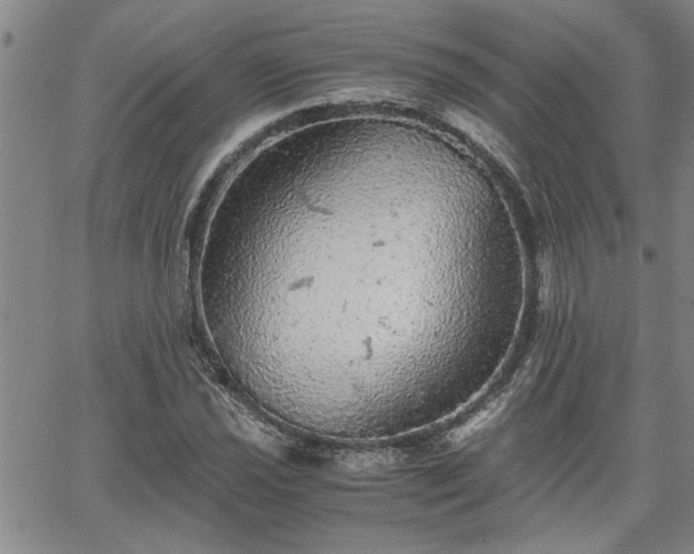 X0000058781021200510031014