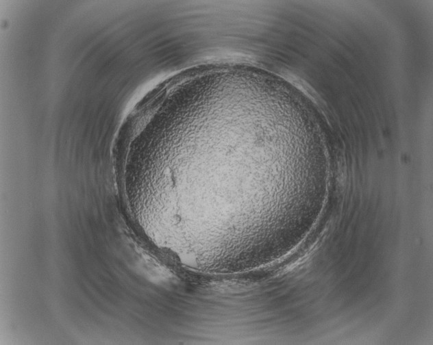 X0000058781022200510031014