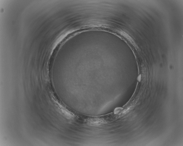 X0000058781023200510031014