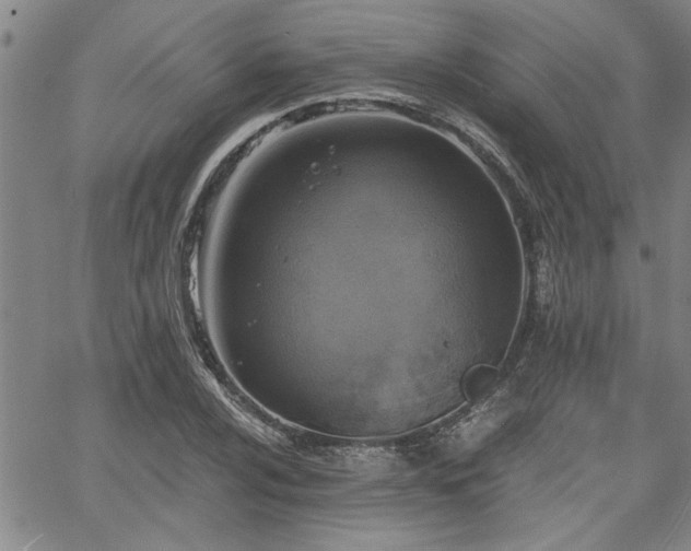 X0000058781024200510031014