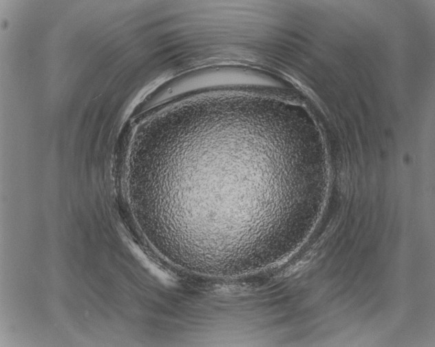 X0000058781026200510031015