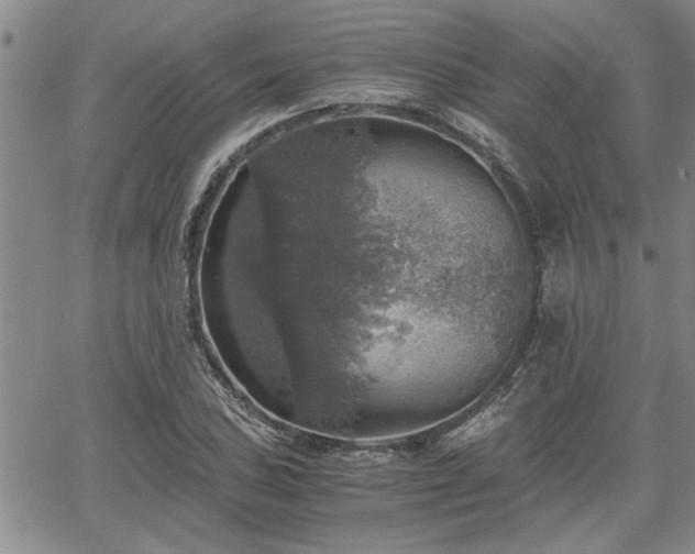 X0000058781027200510031015