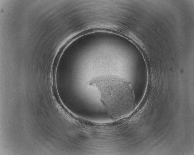 X0000058781028200510031015